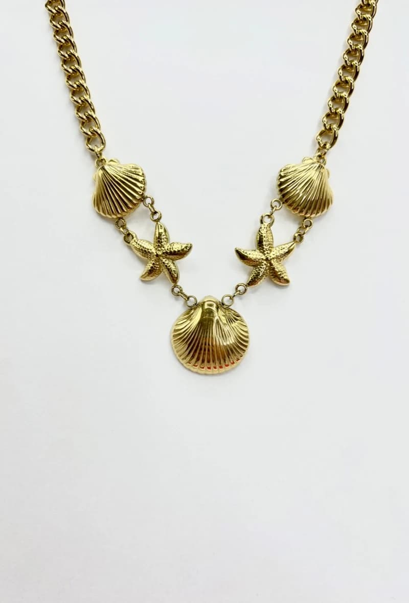 Collier coquillage